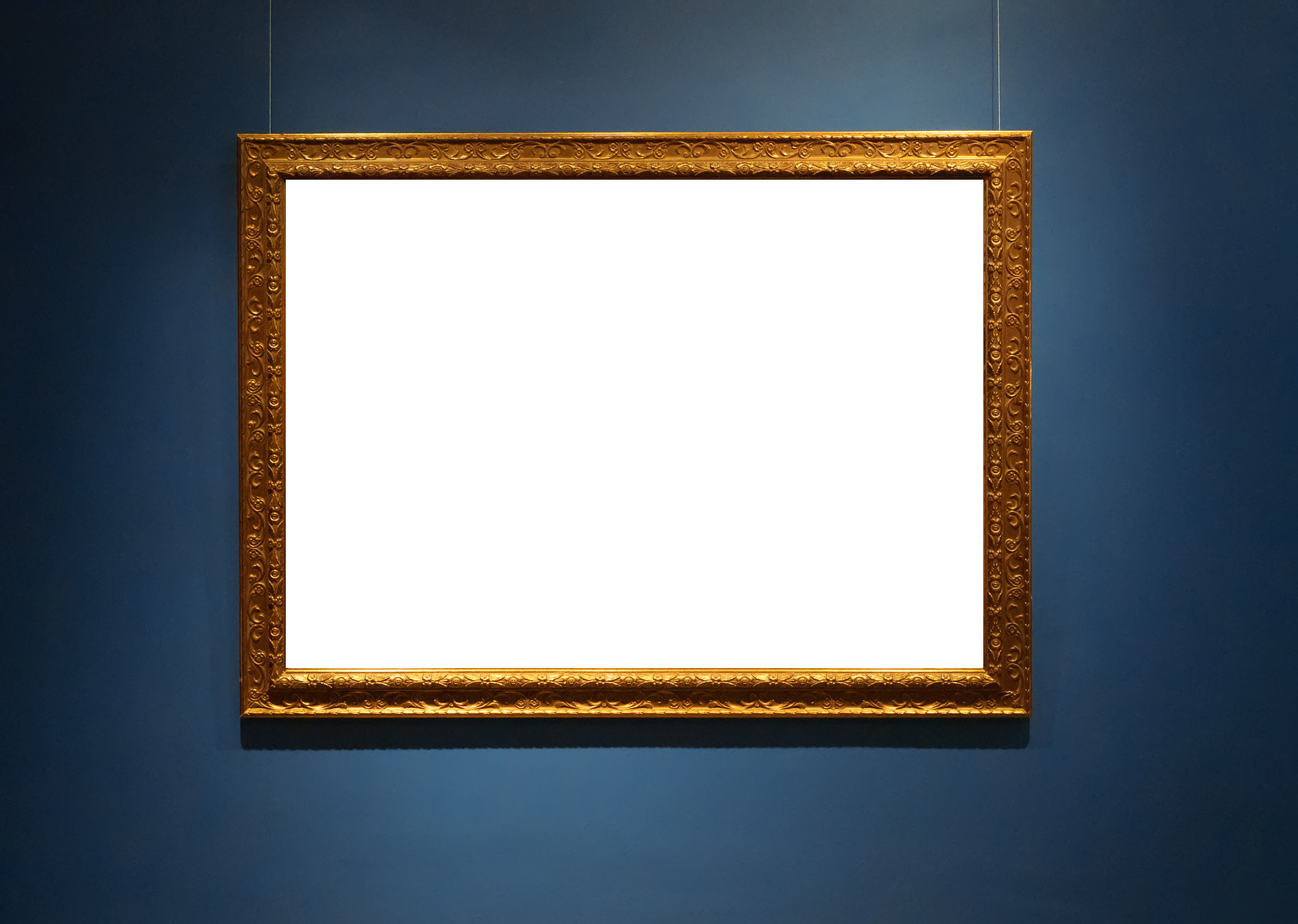 Collection Development Advisory