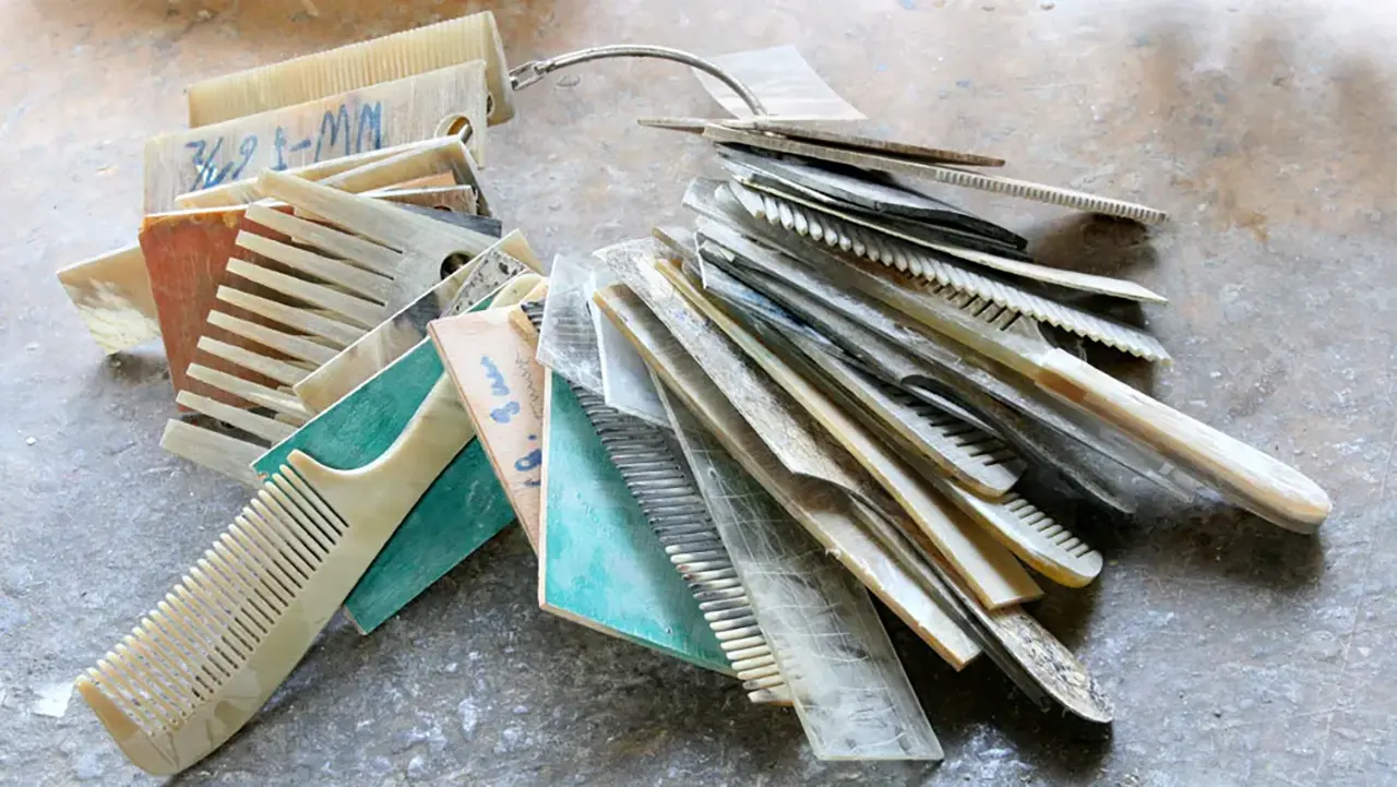Image Credit: Image Credit: Company Hornmanufaktur Petz Image showing comb varieties