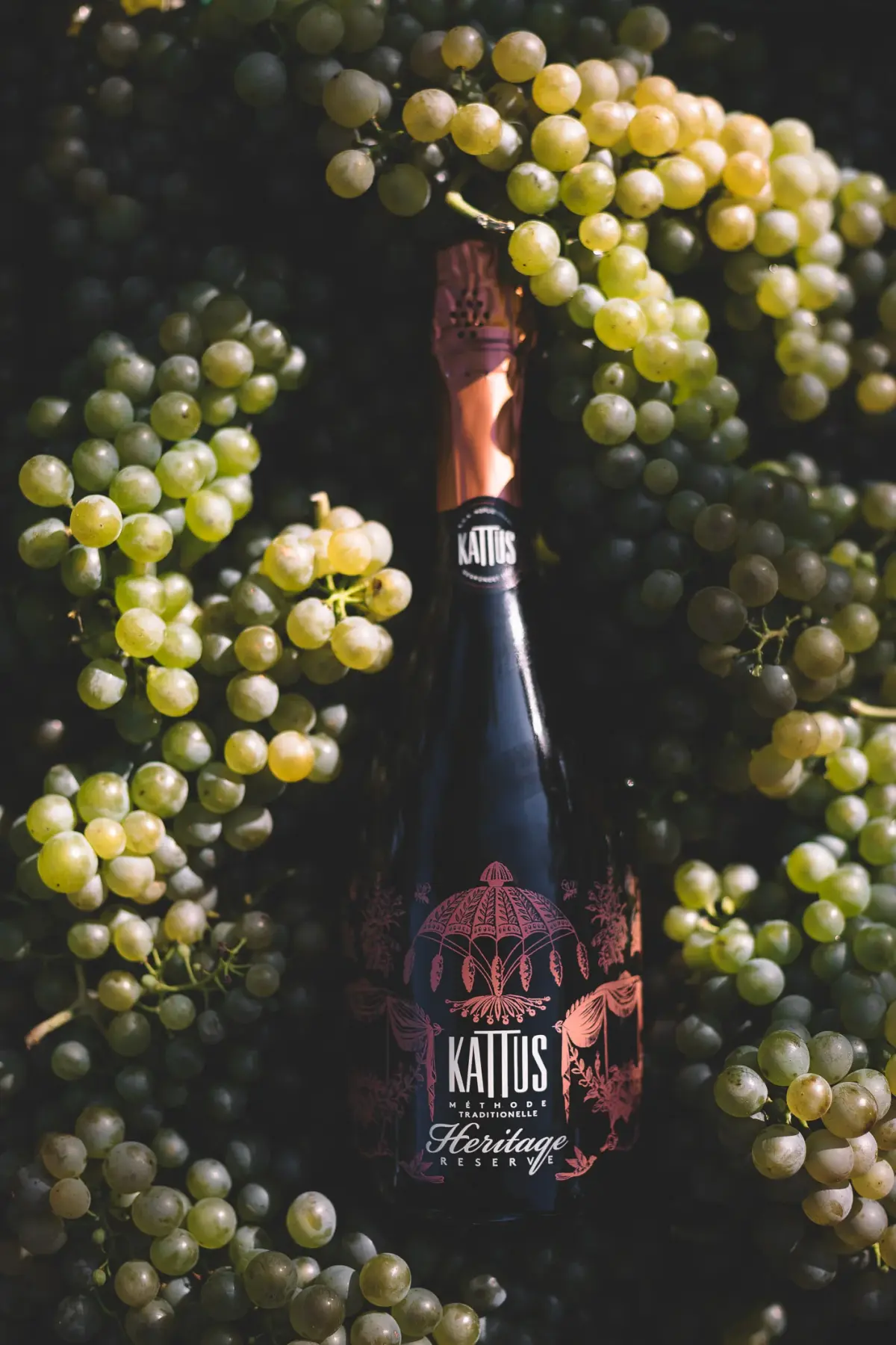 Image Credit: Image Credit: © Company Kattus A bottle of Kattus Sekt among grapes