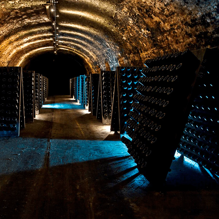 Image Credit: Image Credit: © Company Kattus Vaulted wine cellar with shelved bottles