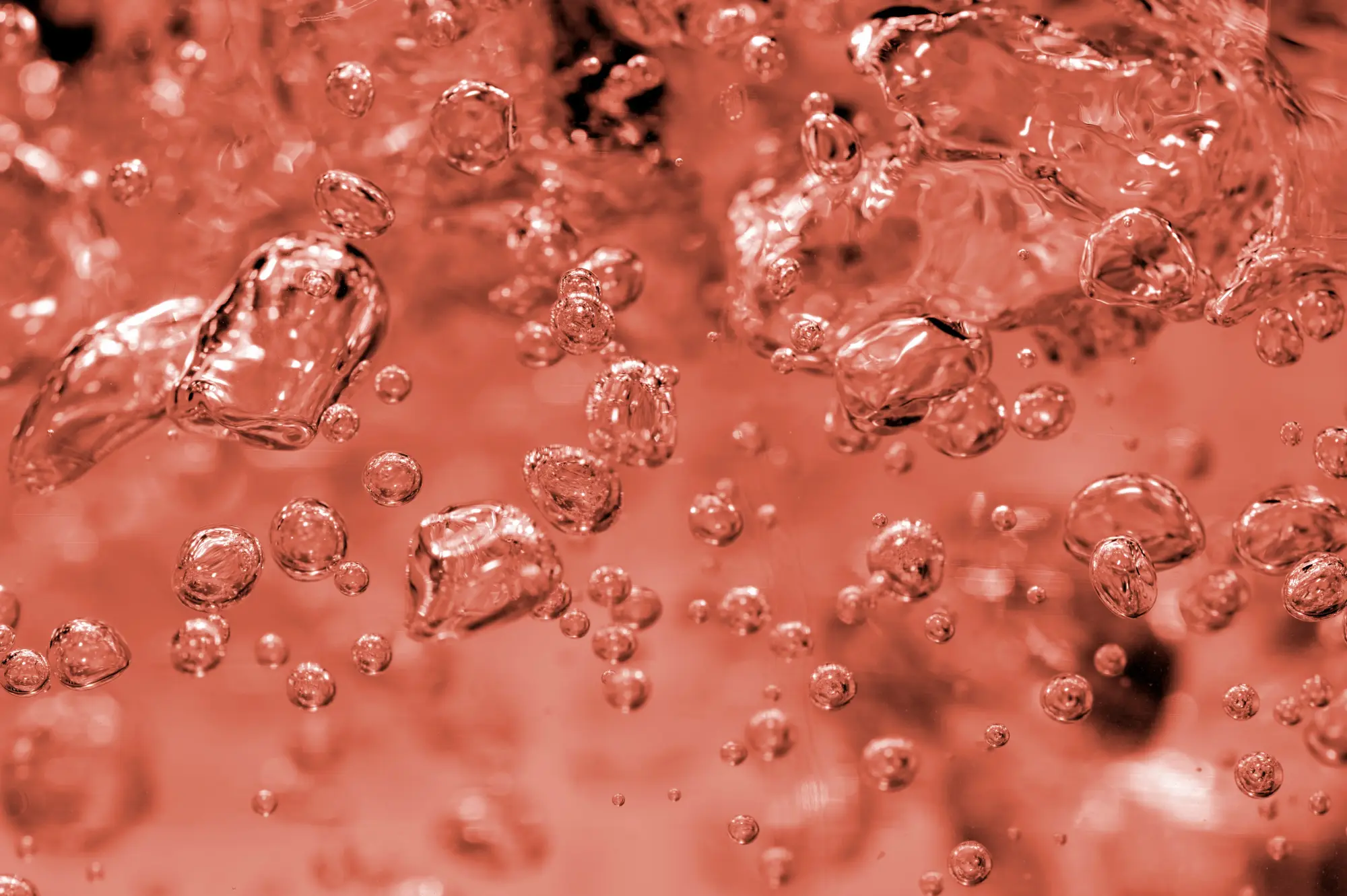 Bubbles of sparkling wine against a pink background
